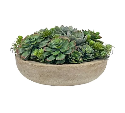 Succulent Arrangement in Bowl