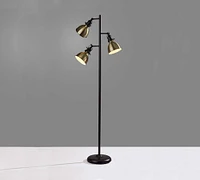 Alden Iron Triple Head Floor Lamp (65")