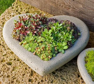 Sweet Heart Planters
