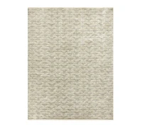 Andrade Hand-Tufted Rug