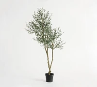 Faux Faded Olive Leaf Tree