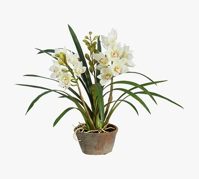 Faux Cymbidium In Planter