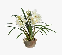 Faux Cymbidium In Planter
