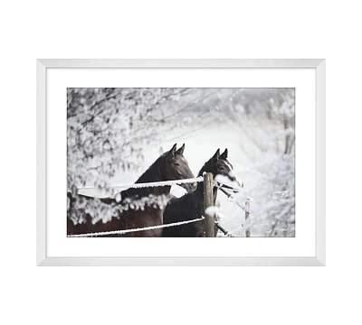 Horses Snow Framed Print