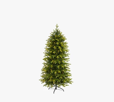 Open Box: Lit Belgium Fir Artificial Christmas Tree