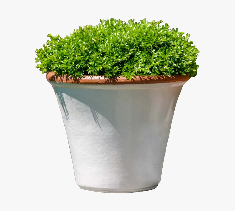 Juliet Glazed Terracotta Planters