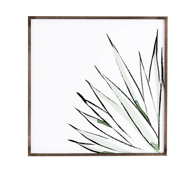 Agave Crop Framed Print