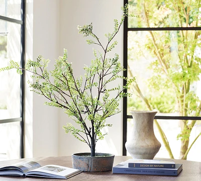 Faux Potted Sophora Tree Fern