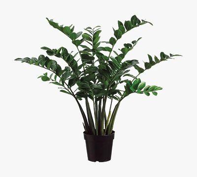 Faux Wide ZZ Plant Plastic Pot, 3'