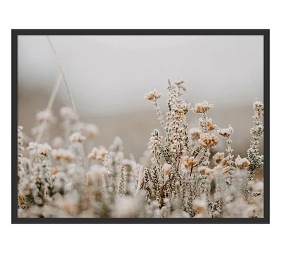 Field Flowers By Annie Spratt