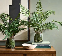 Faux Small Glass Composed Fern