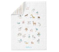 Quincy ABC Baby Quilt