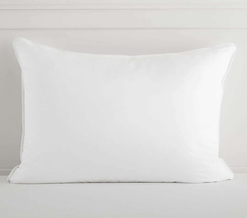 Allermax Allergy & Asthma Friendly Pillow Insert