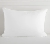 Allermax Allergy & Asthma Friendly Pillow Insert