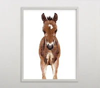 Limited Edition Minted® Baby Animal Horse Wall Art by Cass Loh