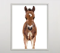 Limited Edition Minted® Baby Animal Horse Wall Art by Cass Loh