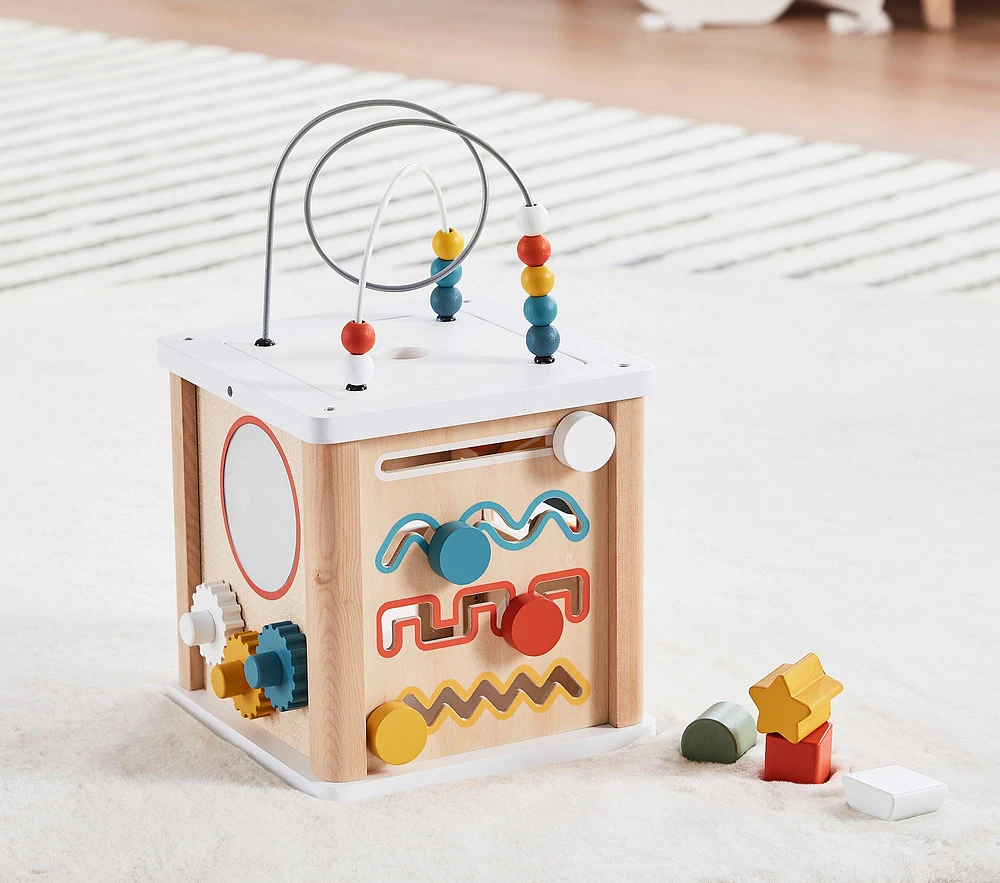 Big Jigs X pbk Activity Cube