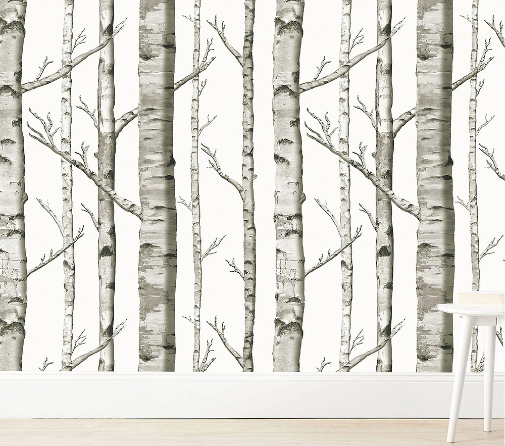 Wallpaperie Birch Forest Wallpaper