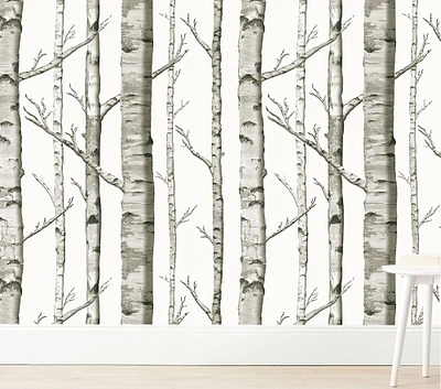 Wallpaperie Birch Forest Wallpaper