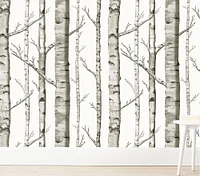 Wallpaperie Birch Forest Wallpaper