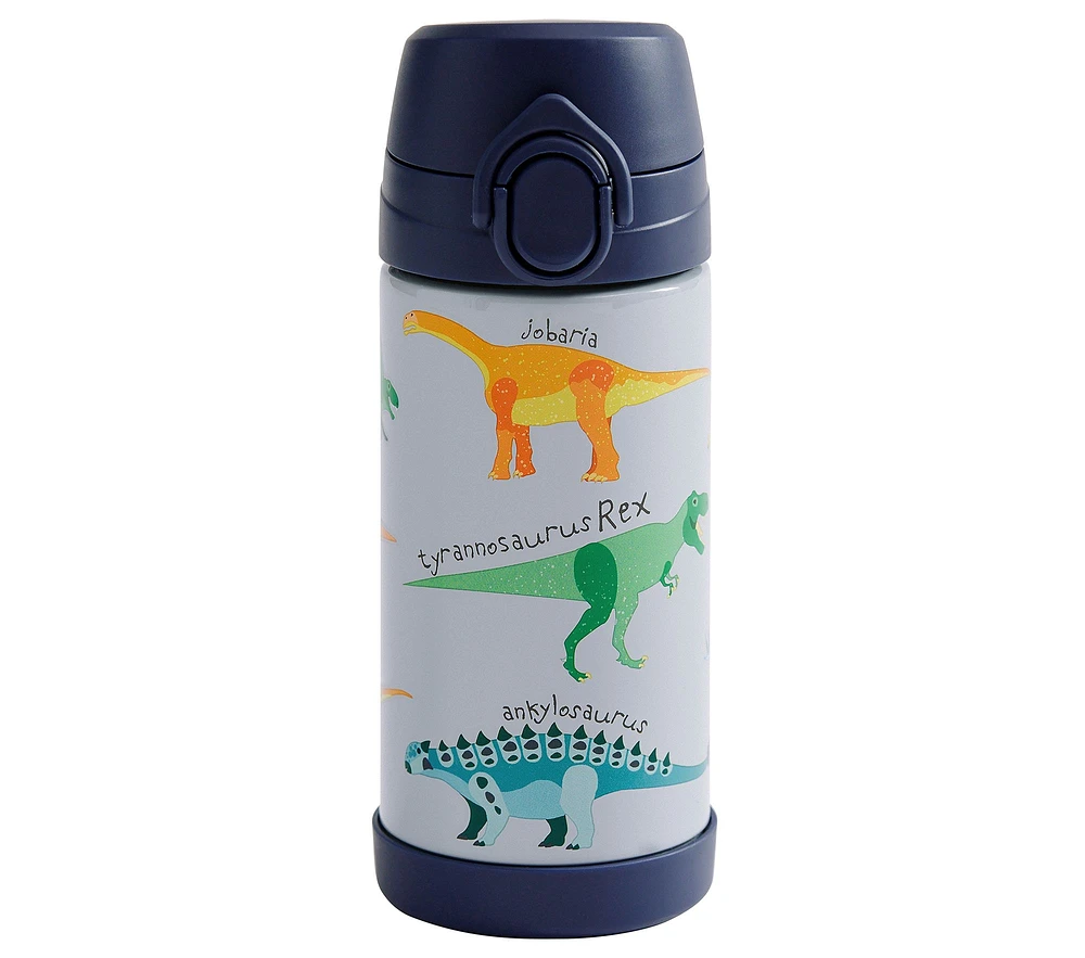 Mackenzie Finn Dino Water Bottle