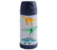 Mackenzie Finn Dino Water Bottle