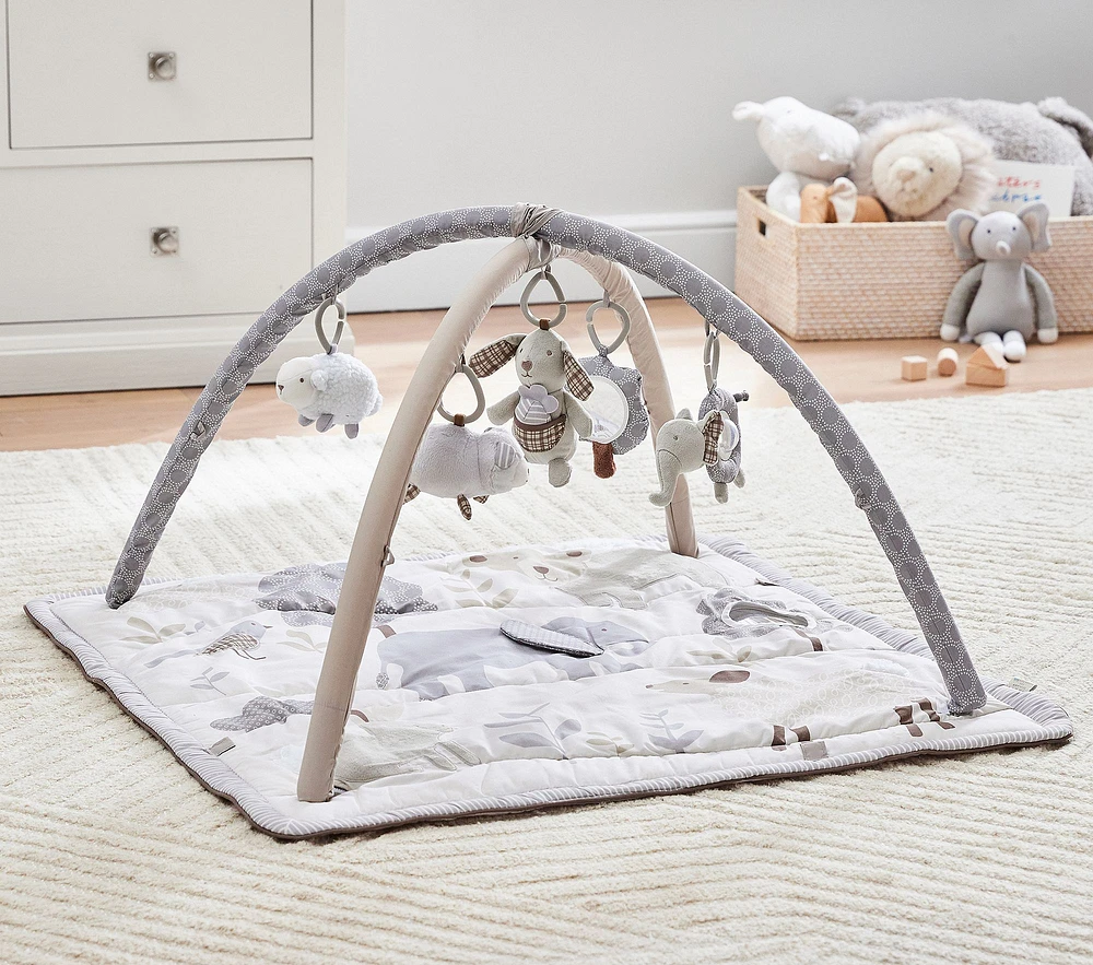 Skip Hop x pbk Animal Friends Classic Activity Gym