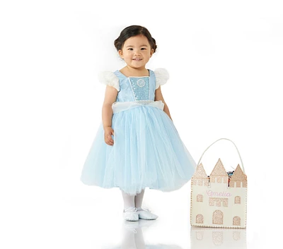 Disney Princess Cinderella Costume