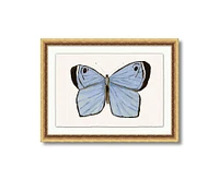 Jordan Connelly Soft Butterfly Framed Wall Art