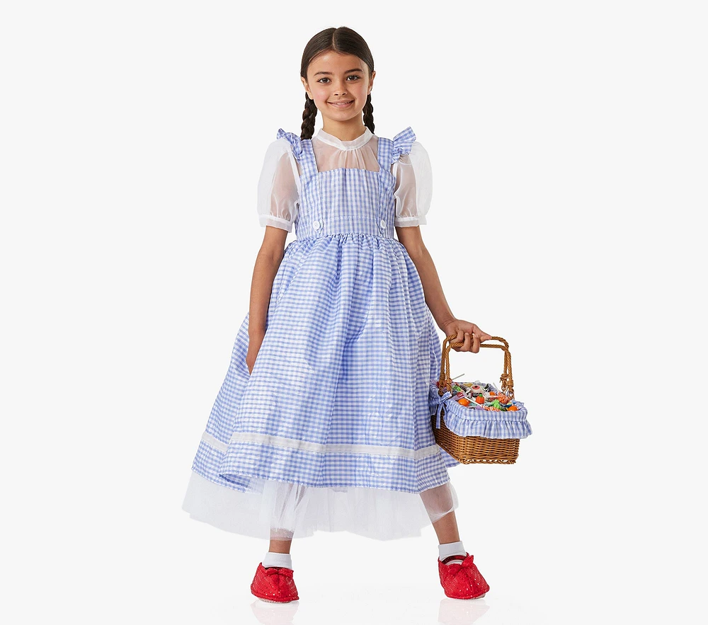 The Wizard of Oz™ Dorothy™ Costume