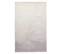 Ombre Performance Rug