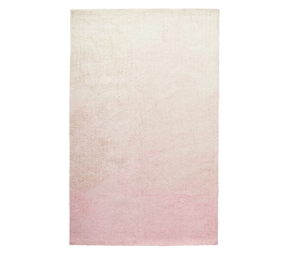 Ombre Performance Rug