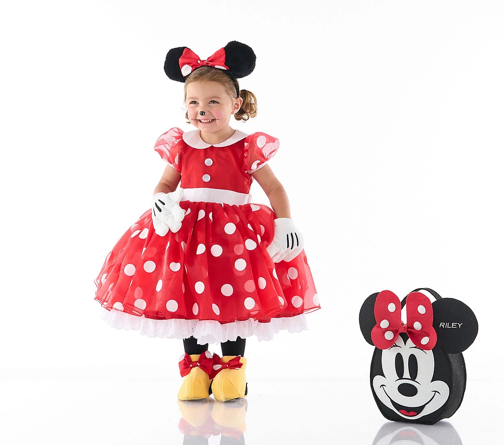 Disney Minnie Mouse Costume