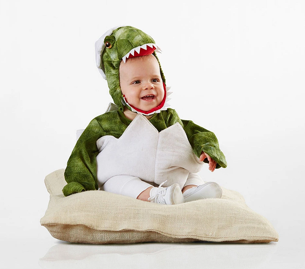 T-Rex Costume Collection