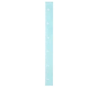 Personalized Ruler Growth Charts