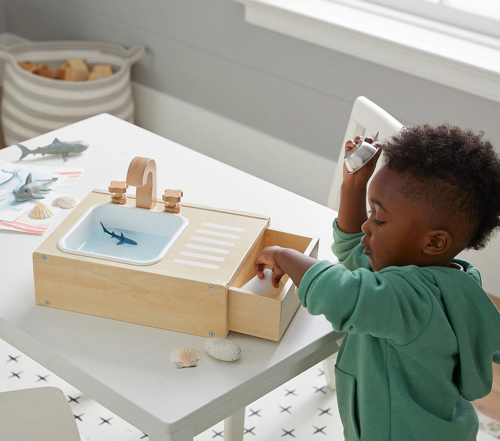 Water-Pouring Sink Toy