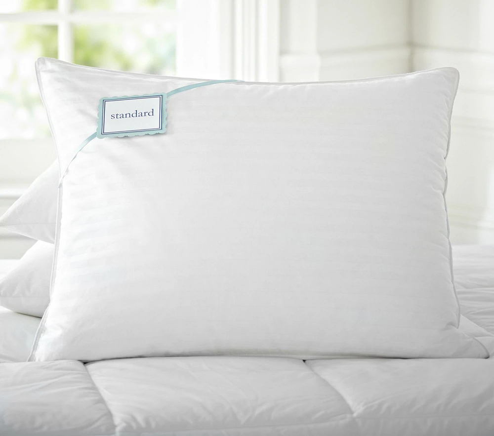 Premium Down & Feather Chamber Standard Pillow Insert