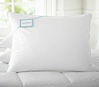 Premium Down & Feather Chamber Standard Pillow Insert