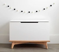 Sloan Toy Box