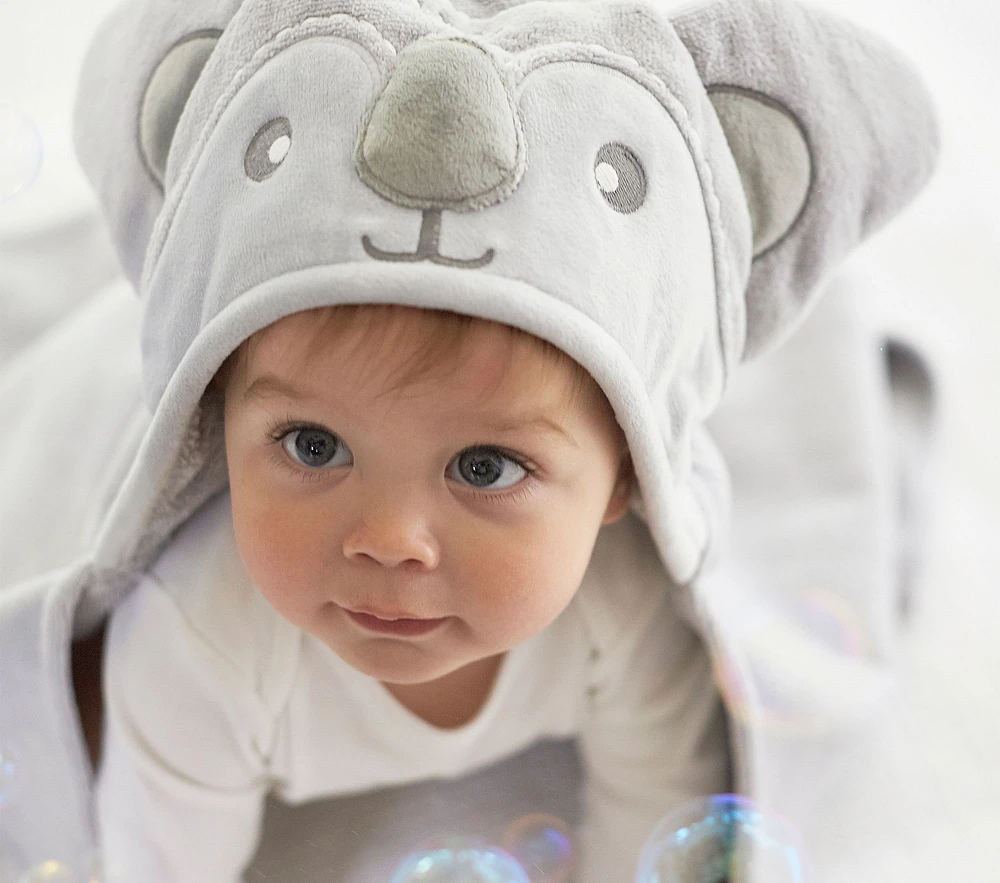 Koala Baby Hooded Towel