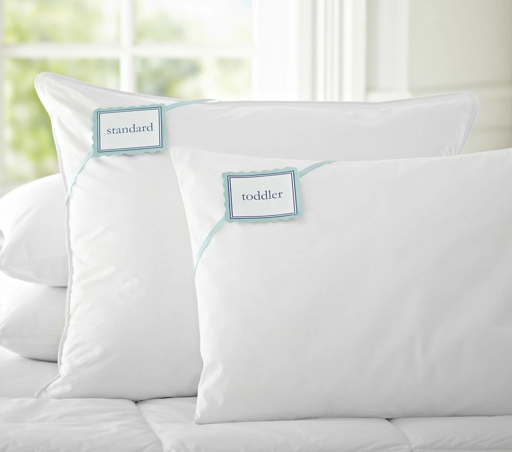 Pillow Inserts