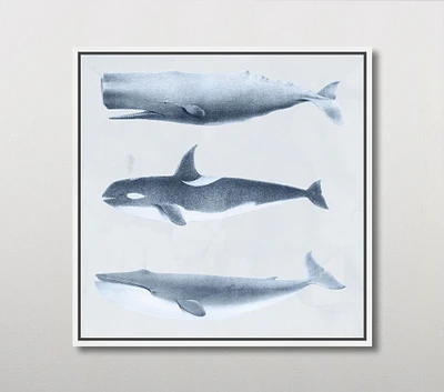 Whales Wall Art (25")