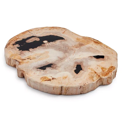 Sur La Table Petrified Wood Cheese Board