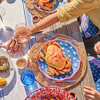 Sur La Table Stars & Stripes Melamine Dinner Plates, Set of 4