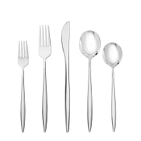 Fortessa Constantin -Piece Flatware Set