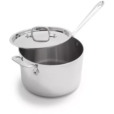 All-Clad Stainless Steel Saucepan