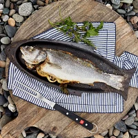 Sur La Table Cast Iron Fish Pan