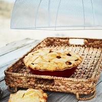 Sur La Table Water Hyacinth Food Dome and Tray