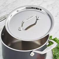 All-Clad LTD Soup Pot, 4 qt.