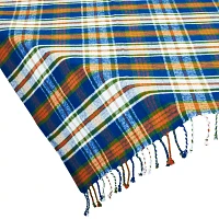 Sur La Table Plaid Table Throw